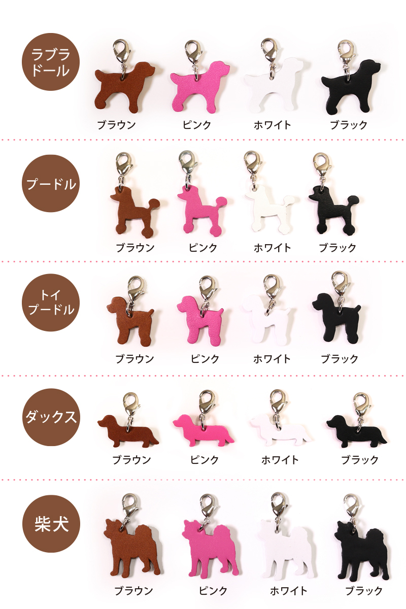 cha-dog-cat_02